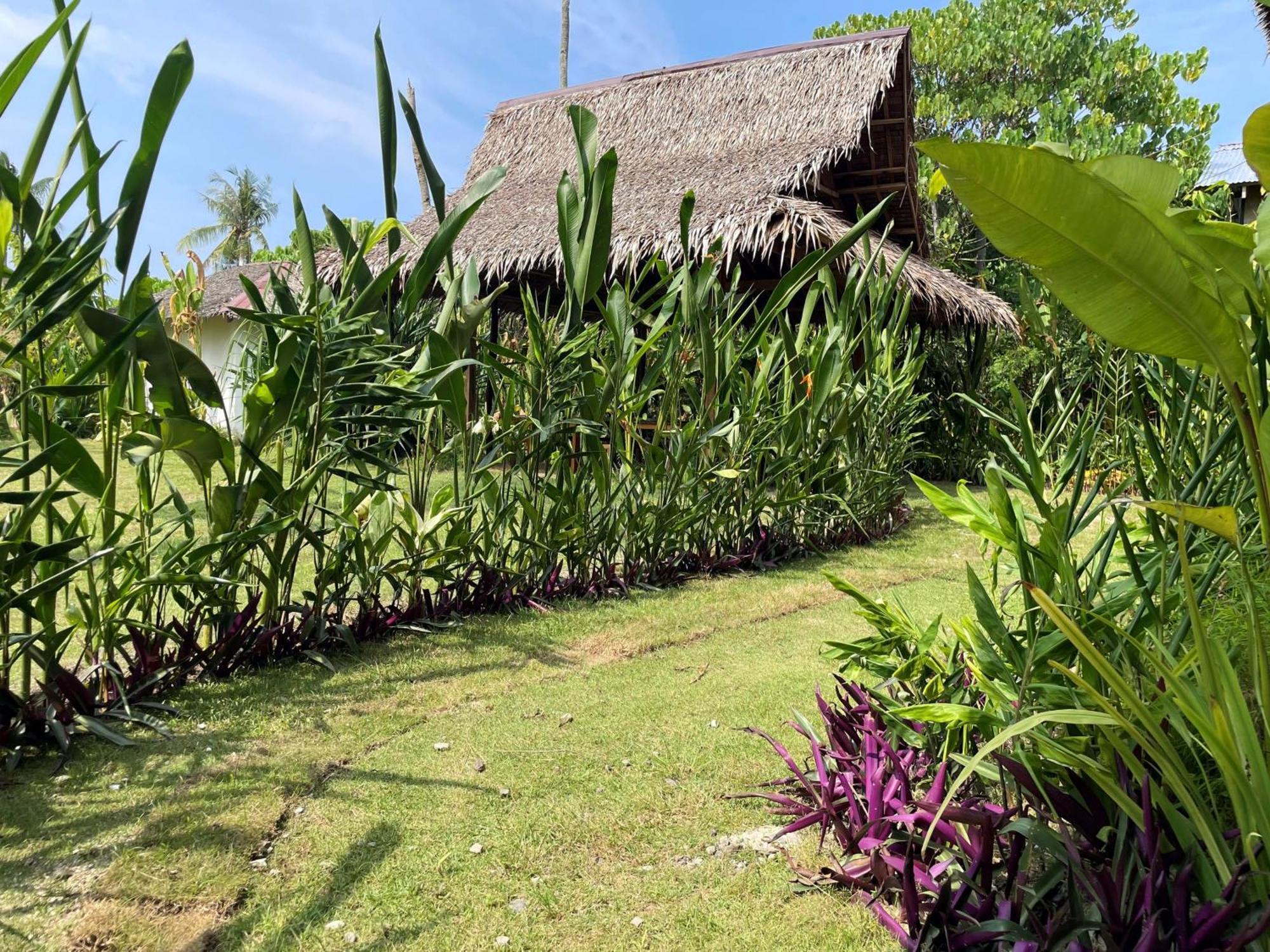 Siargao Sunflower Suites General Luna  Exteriér fotografie